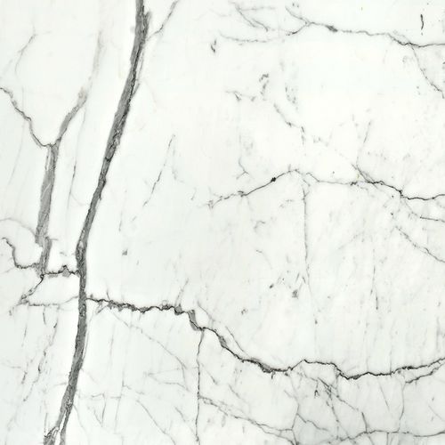 大理石天然石板 - STATUARIETTO, ARABESCATO, BIANCO CARRARA "C", BIANCO CARRARA - SALVINI STILE - 用于地面 / 立面 / 用于浴室