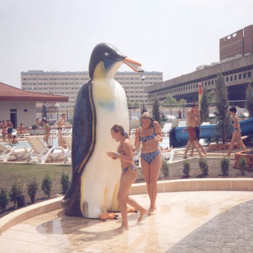 玻璃纤维淋浴 - PENGUIN - Polin Waterparks - 用于水上乐园 / 儿童