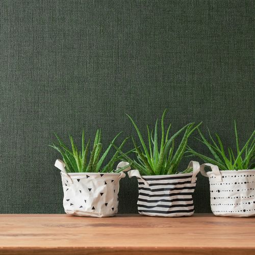 室内墙面材料 - ASTORIA  - Versa Wallcovering - 乙烯基 / 布艺 / 仿布