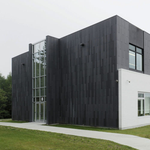 外包板 - PRIMARY SCHOOL ST. CATHERINE - Rieder Facades GmbH - 用于壁板 / 用于外墙 / 高强度