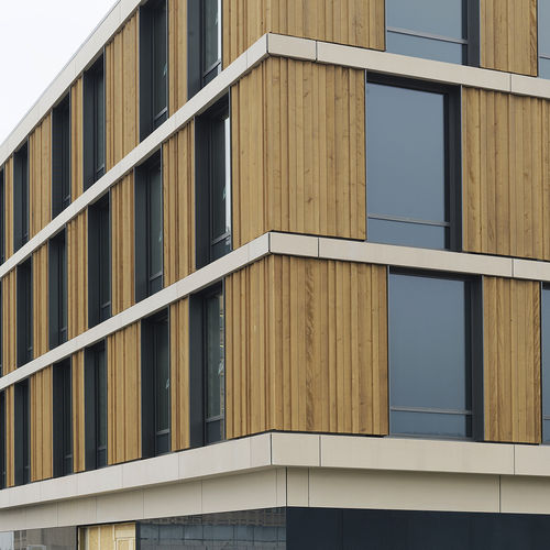 立面板 - BADEN CANTONAL HOSPITAL - Rieder Facades GmbH - 特种 / 钢筋混凝土 / 榫合式