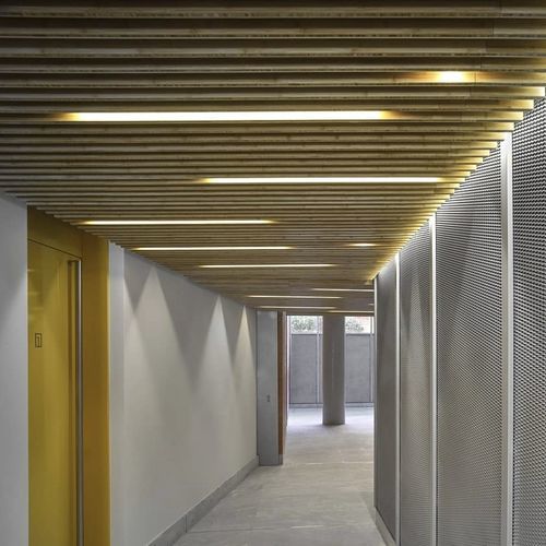 竹制吊顶 - GUBI-SLATS - Grupo GUBIA - 条形 / 用于会议大厅 / 室内
