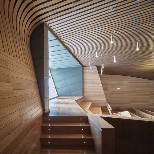 建筑木质装饰板 - CV PLY5 - Grupo GUBIA - 壁挂 / 用于天花板 / 竹制