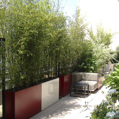 纤维水泥花坛 - IMAGE'IN IRF - ATELIER SO GREEN - 聚氨酯 / 陶瓷 / 长方形