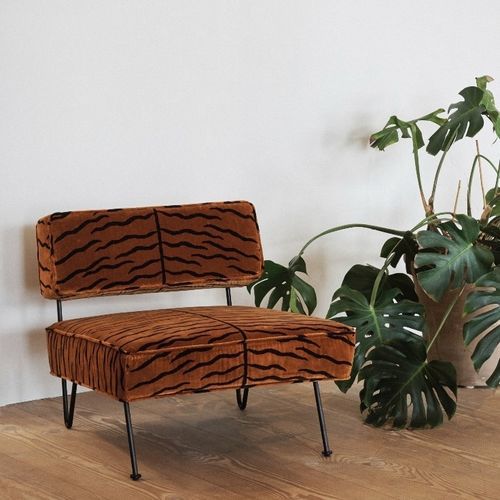室内装饰面料 - A TIGER IN THE ORANGERIE  - DEDAR MILANO/帝达 - 兽皮纹路 / 棉质 / 丝绒