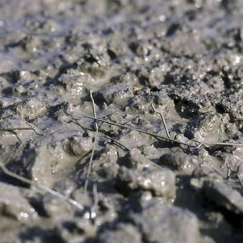 自密实混凝土 - AGILIA® MI MÉTAL - Lafarge concrete - 加固纤维 / 房屋用 / 石板下