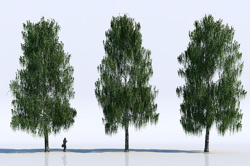2D/3D图形库软件 - TREES - VizPeople Cut Out people