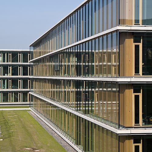 条形立面 -  MAX-BORN-BERUFSKOLLEG, RECKLINGHAUSEN - Schindler - 木质 / 光滑