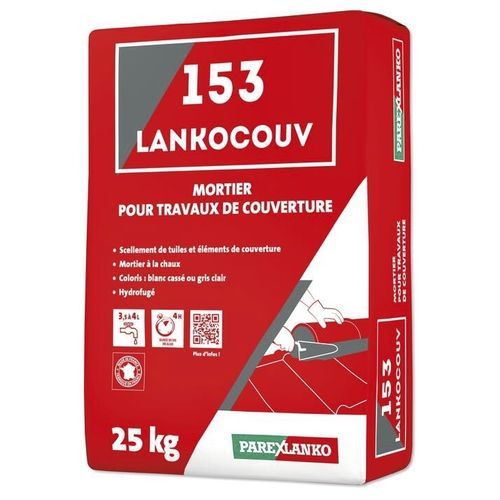 固结砂浆 - 153 LANKOCOUV - parexlanko - 用于石工 / 用于混凝土 / 混合
