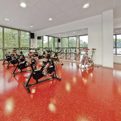 室内运动地板 - DECOELAST®+ - REGUPOL Germany GmbH & Co. KG - 聚氨酯 / 体育活动用 / 用于体操