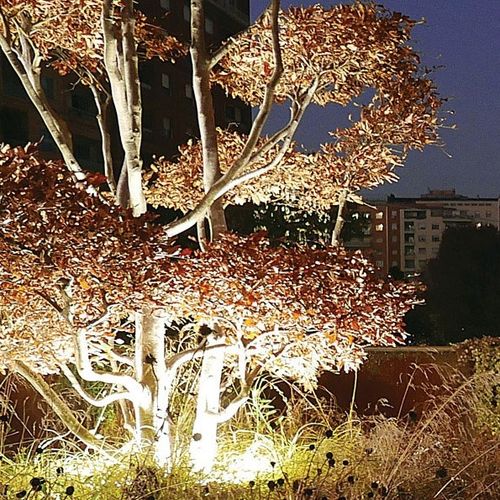 IP68投光灯 - TITO90 - Arcluce S.p.A. - LED / 户外 / 公共空间