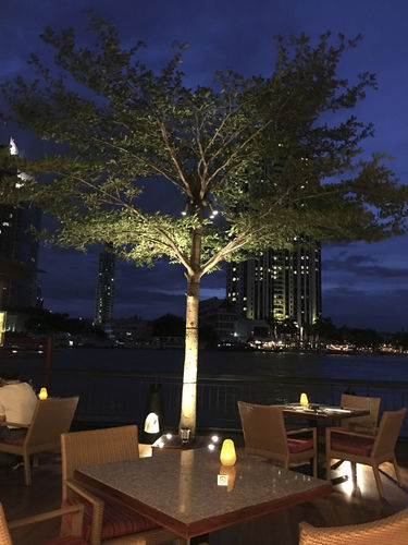 IP65投光灯 - UTAH  - LIGMAN Lighting Company Limited - LED / 花园 / 公共空间
