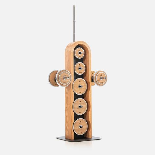 运动装备体育用品存放架 - WEIGHTPLATE TOWER CH&Ecirc;NE - WATERROWER FRANCE