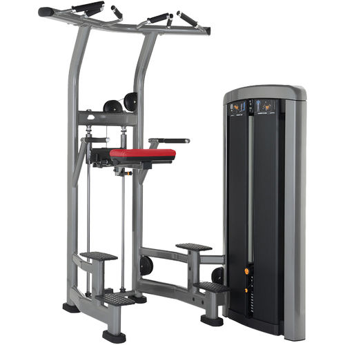 臂屈伸健身器械 - SS-ADC - Life Fitness - 室内 / 用于运动场