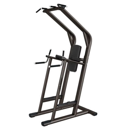 臂屈伸健身器械 - LBR-LC - Life Fitness - 提腿 / 室内 / 用于运动场