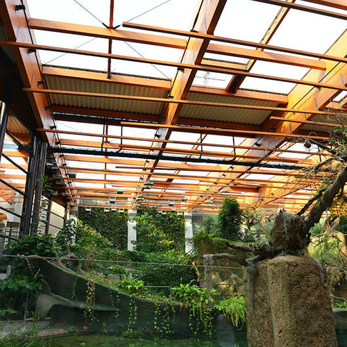ETFE Texlon®屋顶系统 - AFRYKARIUM AT ZOO WROCLAW - Vector Foiltec - 商用