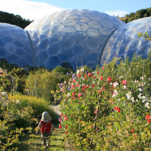 ETFE Texlon®织物类膜材 - EDEN PROJECT - Vector Foiltec - 用于外墙 / 屋顶 / 半透明