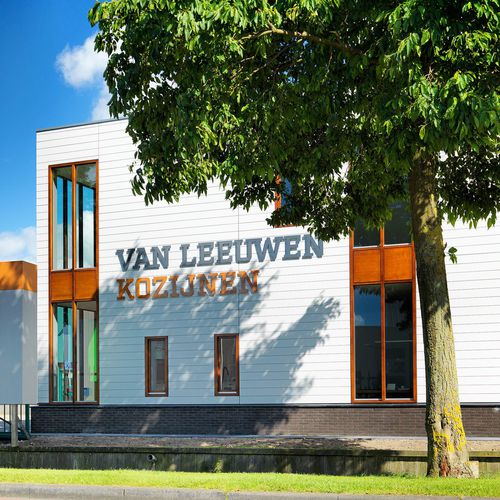 木质窗框 - OFFICE VAN LEEUWEN KOZIJNEN - Accsys Technologies - 石膏灰泥