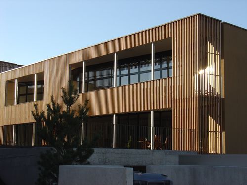 立面板 - ALLSCHWIL - Haring Engineering Ltd  - 木质 / 凹凸