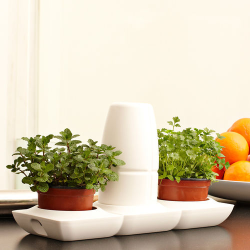 塑料园艺花盆 - MINIGARDEN BASIC S POTS - Minigarden (Quizcamp SA) - 独立式 / 圆形 / 带自动浇水