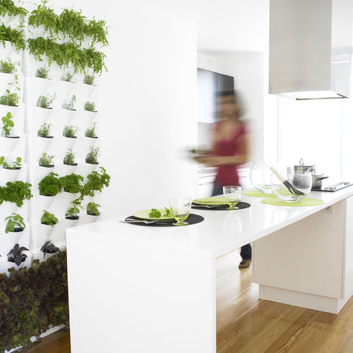 活植物垂直花园 - MINIGARDEN KITCHEN GARDEN - Minigarden (Quizcamp SA) - 模块化板 / 室内 / 户外