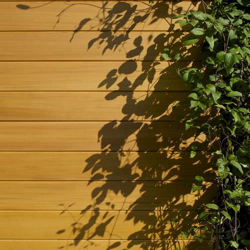 板式立面 - WESTERN CLEAR GRAIN TGV  - Silva Timber Products  - 雪松木 / 凹凸