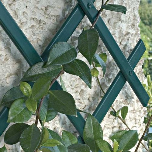 绿植墙格架 - TREPLAS - Tenax UK Ltd  - PVC
