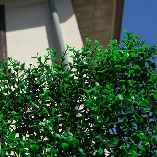 盖板挡板 - DIVY BUXUS INTENSE - Tenax UK Ltd  - 聚乙烯 / 模块化 / 3D