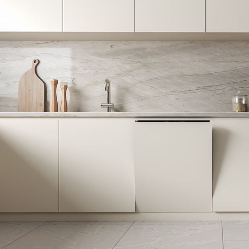 单洗碗机 - DW90H79G1I0U4 - SAMSUNG Home Appliances - 家用 / 独立式 / 嵌入式