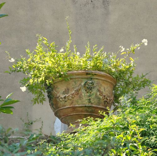 黏土花坛 - ANDUZE - POTERIE LE CHÊNE VERT - 圆形 / 手工 / 现代风格