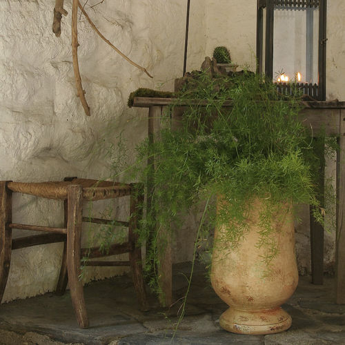 黏土坛子 - OLIVE - POTERIE LE CHÊNE VERT