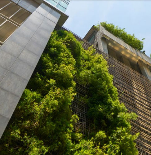 活植物绿植墙 - FOREST - GREEN WALL - POHL Metal Systems GmbH - 稳定 / 模块化板 / 天然
