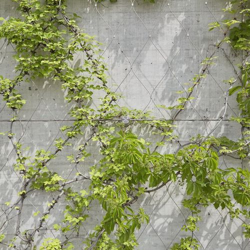 不锈钢金属丝网 - GREENING - JAKOB FRANCE  - 用于外墙 / 菱形网格
