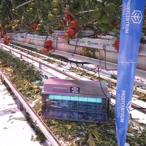专业除虫灯 - 308E - MO-EL - 灯