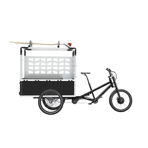 电动玩具车 - RADKUTSCHE MUSKETIER - FLORA