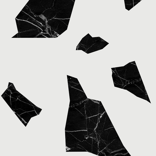 现代风格墙纸 - MARBLE FRAGMENT - BLACK &amp; WHITE - Mineheart - 无纺布 / 图案 / 仿大理石