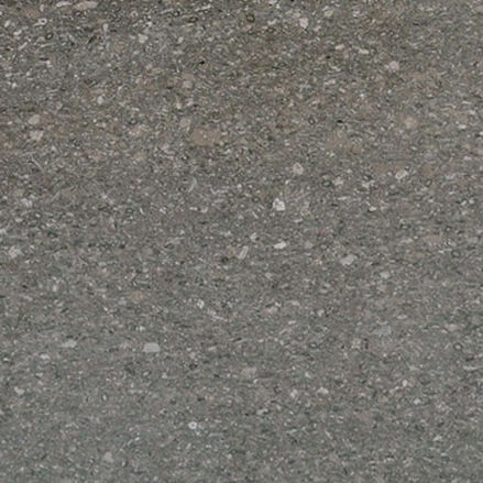 大理石天然石板 - FOSSIL GREY - PAYANINI SRL - 用于地面 / 室内装潢 / 哑光