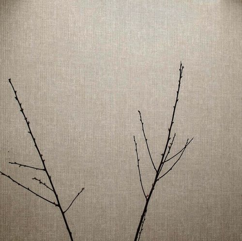 现代风格墙纸 - PICTURA : LINEE - Parato - 乙烯基 / 单色 / 仿布