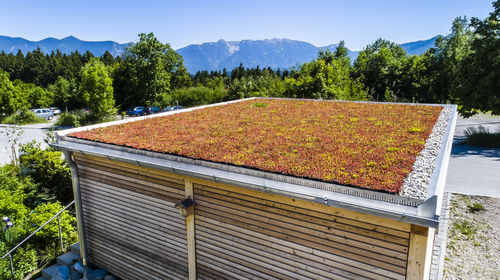 外延植被屋顶 - MobiRoof ECO - Mobilane - 用于屋顶露台 / 密封 / 坡度小于2%