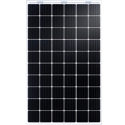 单晶光伏面板 - NIPRO DUAL TD6D60M - Talesun Solar - 双镜片 / 无框架 / 无 PID