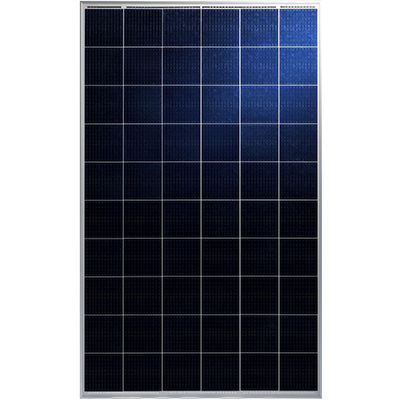 多晶质光伏面板 - MIPRO III TP660P - Talesun Solar - 有色 / 无 PID / 铝合金边框