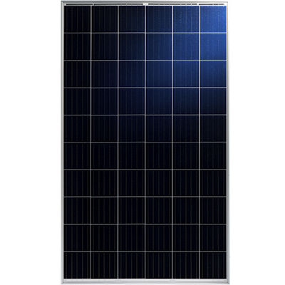 多晶质光伏面板 - TP660P - Talesun Solar - 有色 / 无 PID / 铝合金边框
