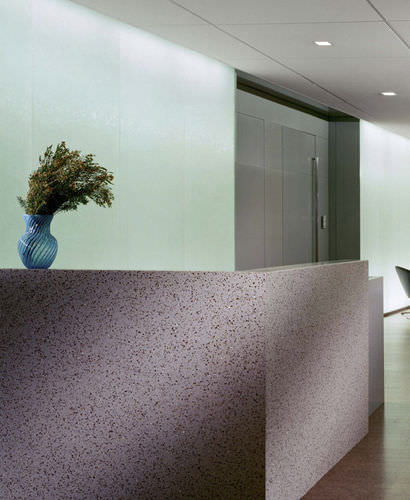 水泥瓷砖 - BIO-GLASS® : ORIENTAL JADE - Coverings ETC - 哑光 / 室内 / 地面用