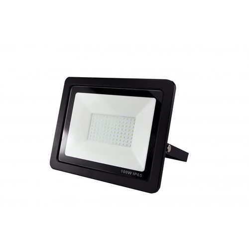 IP65投光灯 - DL-FL100 - danlite - LED / 专业 / 户外
