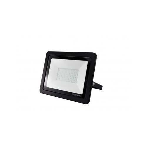 IP65投光灯 - DL-FL100BC - danlite - LED / 用于停车场 / 建筑工地