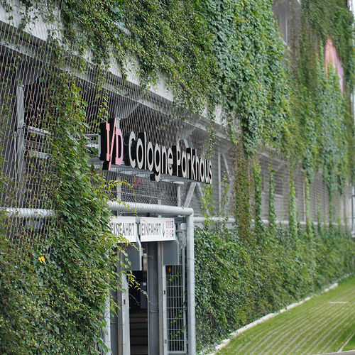 外墙格架 - GREENCABLE® – SAFETY - Carl Stahl ARC GmbH - 绿植墙 / 不锈钢
