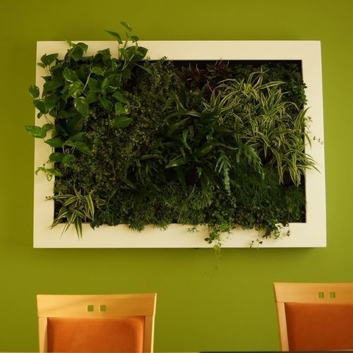 微型绿植墙 - NATURAL CANVAS - Terapia Urbana - 活植物 / 模块化板 / 天然