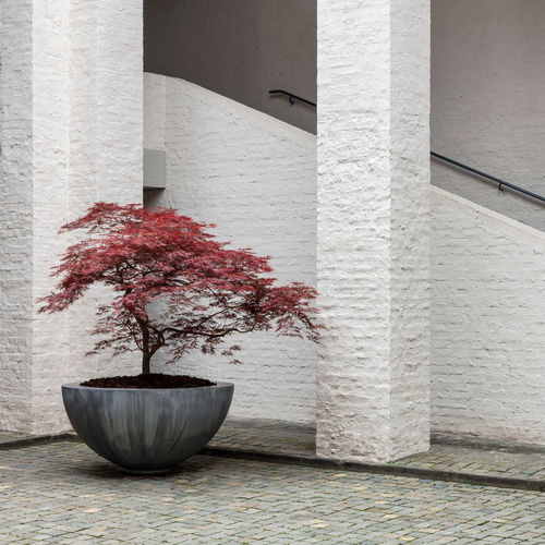 锌制花坛 - HALF BOWL - DOMANI - 圆形 / 现代风格 / 公共空间
