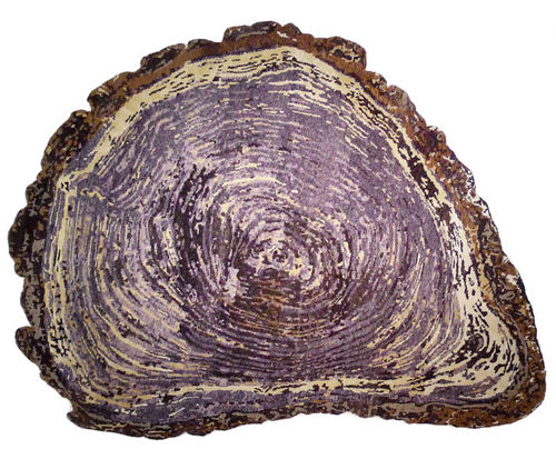 现代风格地毯 - TREE TRUNK - Sonya Winner - 图案 / 羊毛 / 丝绸