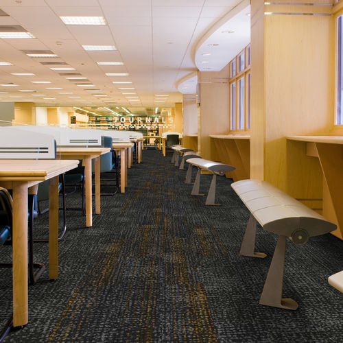 簇绒满铺地毯 - ROOTS - Carpets Inter - 毛圈 / 尼龙 / 商用
